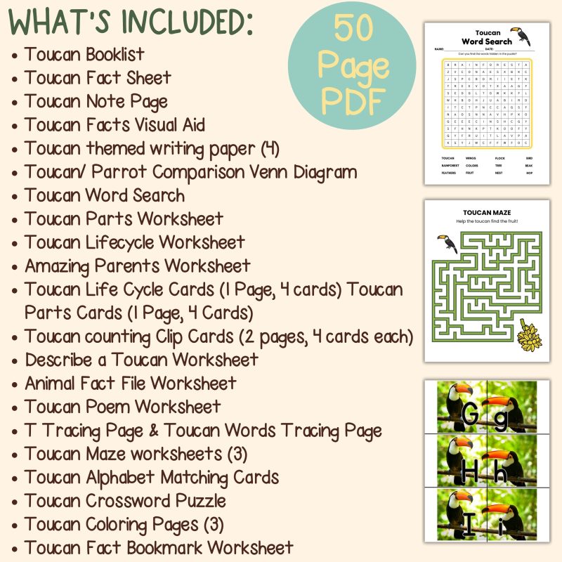 Toucan Nature Study Family Unit Rainforest Bird Worksheets - Image 4