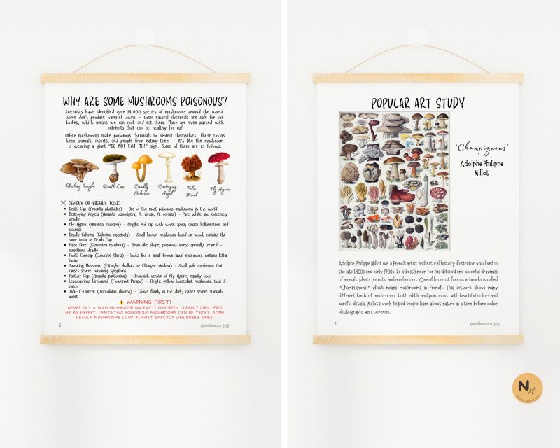 Mushroom Mini unit, Fungi learning pack, Fall Homeschool printable - Image 5