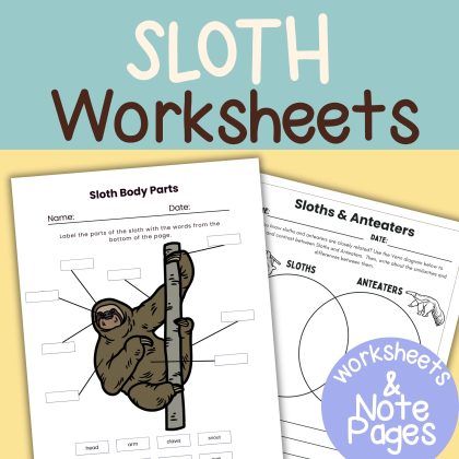 Sloth Nature Study Family Unit Rainforest Worksheets