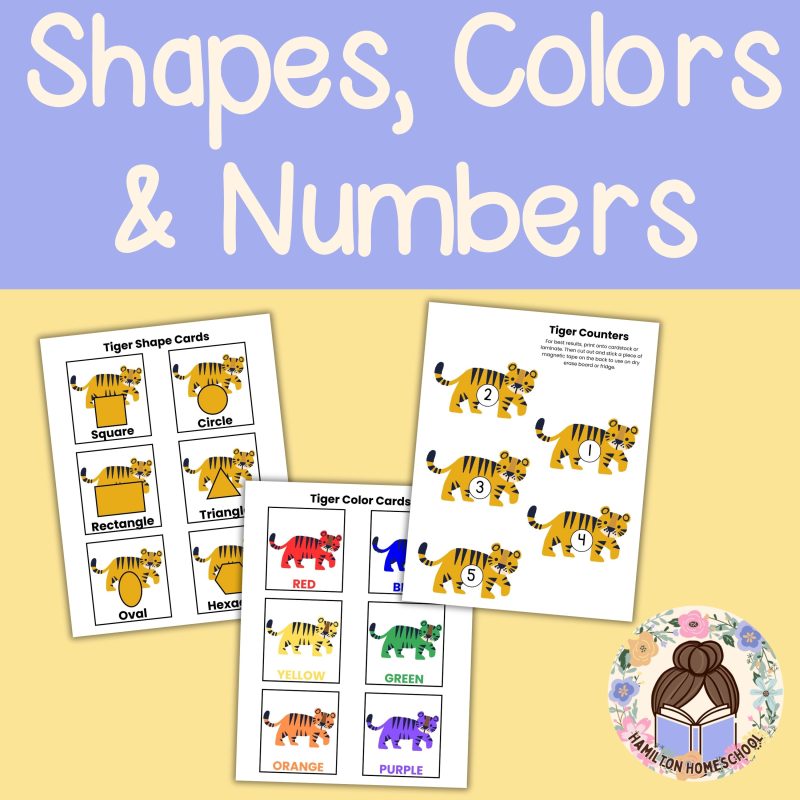 Tiger Preschool Worksheet Letter T Week Lesson Plan - Image 2