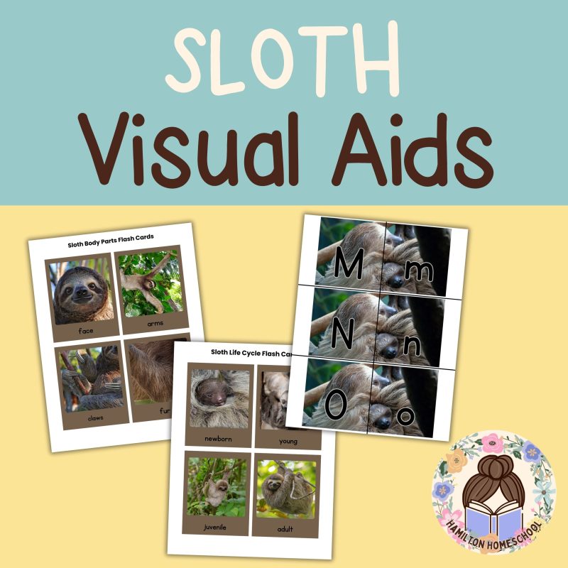 Sloth Nature Study Family Unit Rainforest Worksheets - Image 2