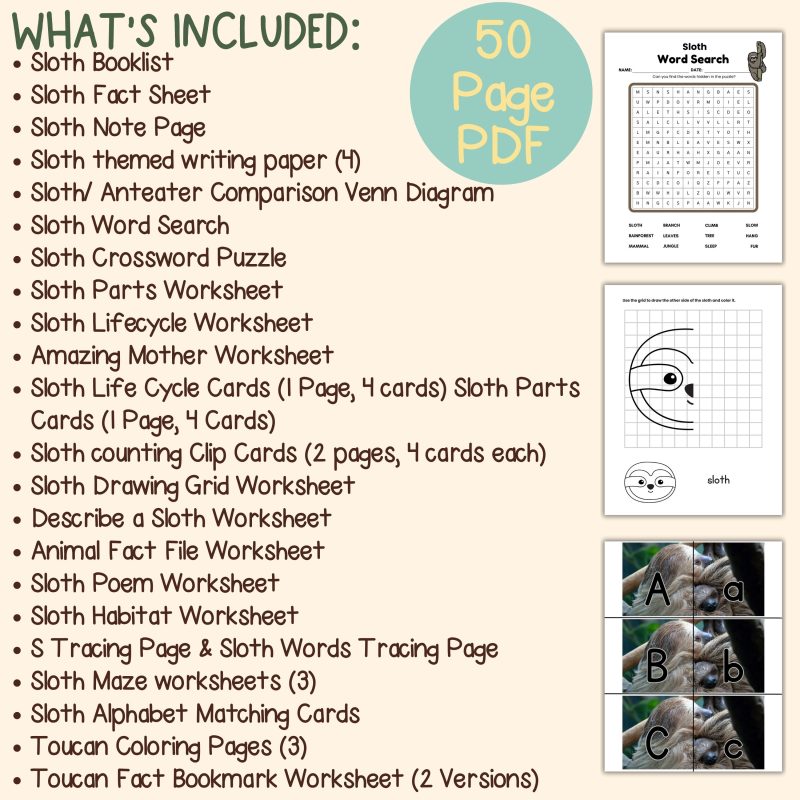 Sloth Nature Study Family Unit Rainforest Worksheets - Image 4