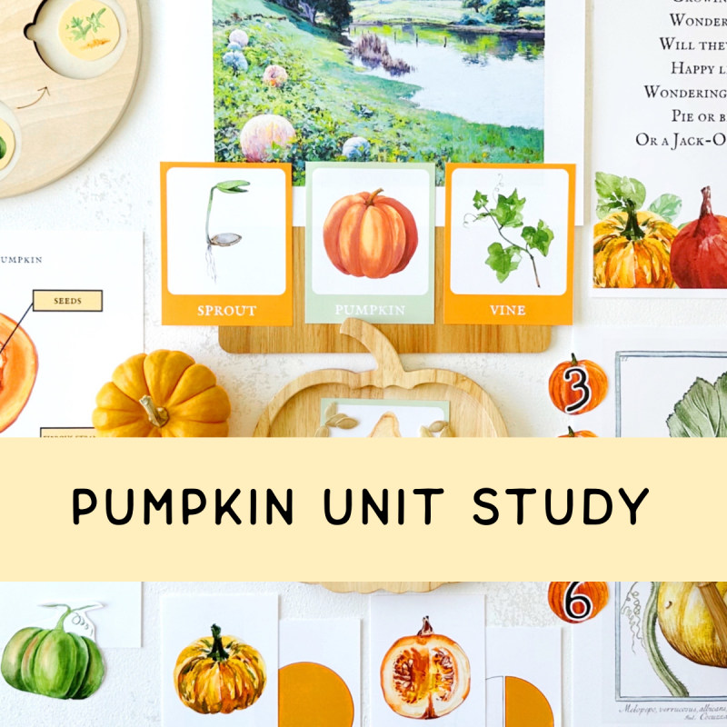 Pumpkin Unit Study