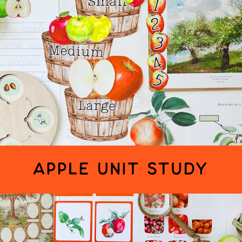 Apple Unit Study