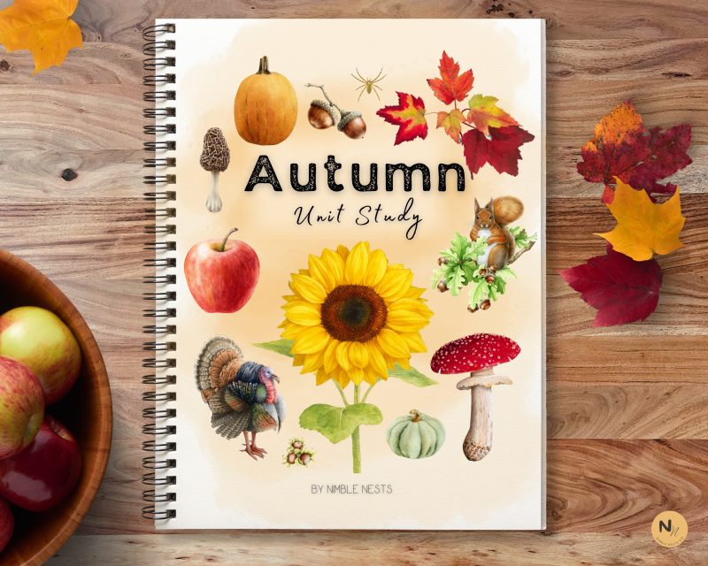Autumn Unit Study: Squirrel, Bat, Turkey & Spider study - Mushroom, Apple & Sunflower,Fall Activity