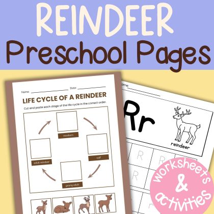 Reindeer Preschool Lesson Plan R Week Worksheets