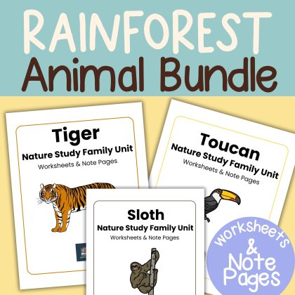 Rain Forest Animal Nature Study Bundle Tiger, Sloth and Toucan