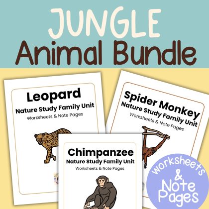 Jungle Animal Nature Study Bundle Leopard, Chimpanzee and Spider Monkey
