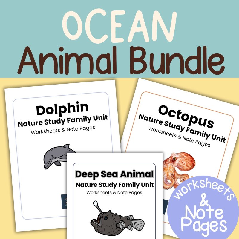 Ocean Animal Nature Study Bundle, Dolphin, Octopus and Deep Sea Animals