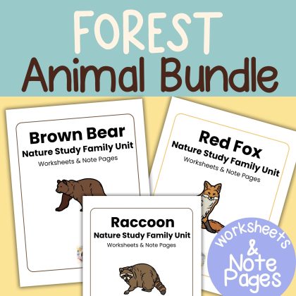 Forest Animal Nature Study Bundle; Brown Bear, Red Fox and Raccoon