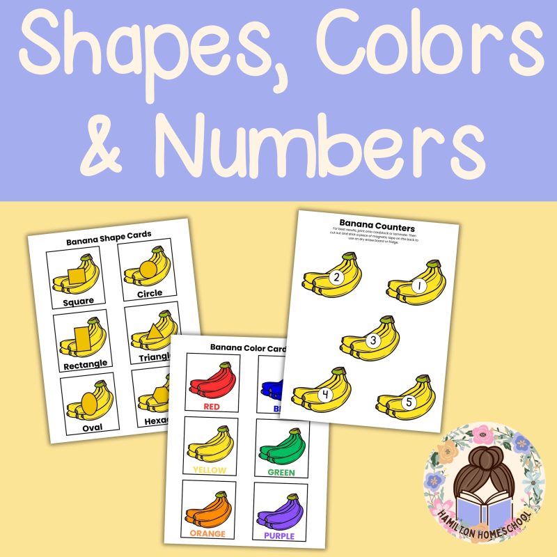 B is for Banana Preschool Worksheet Pack B Week Lesson Plan Pre K Kindergarten - Image 2