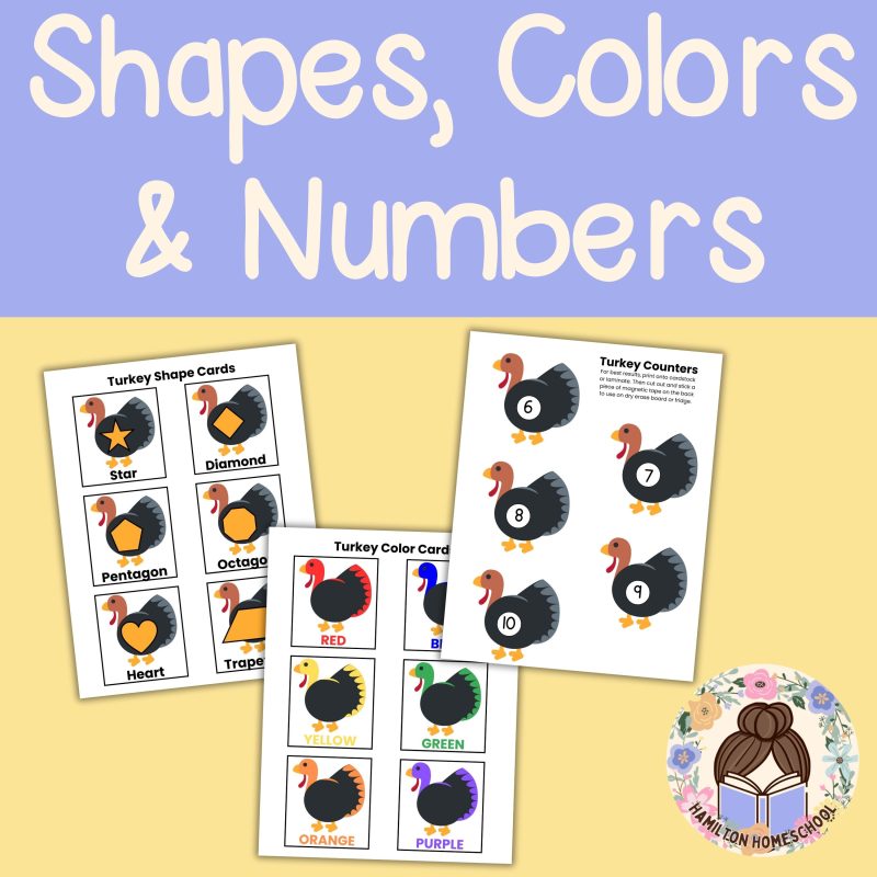 T is for Turkey Preschool Worksheet Bundle Kindergarten PreK Turkey Lesson Plan - Image 2