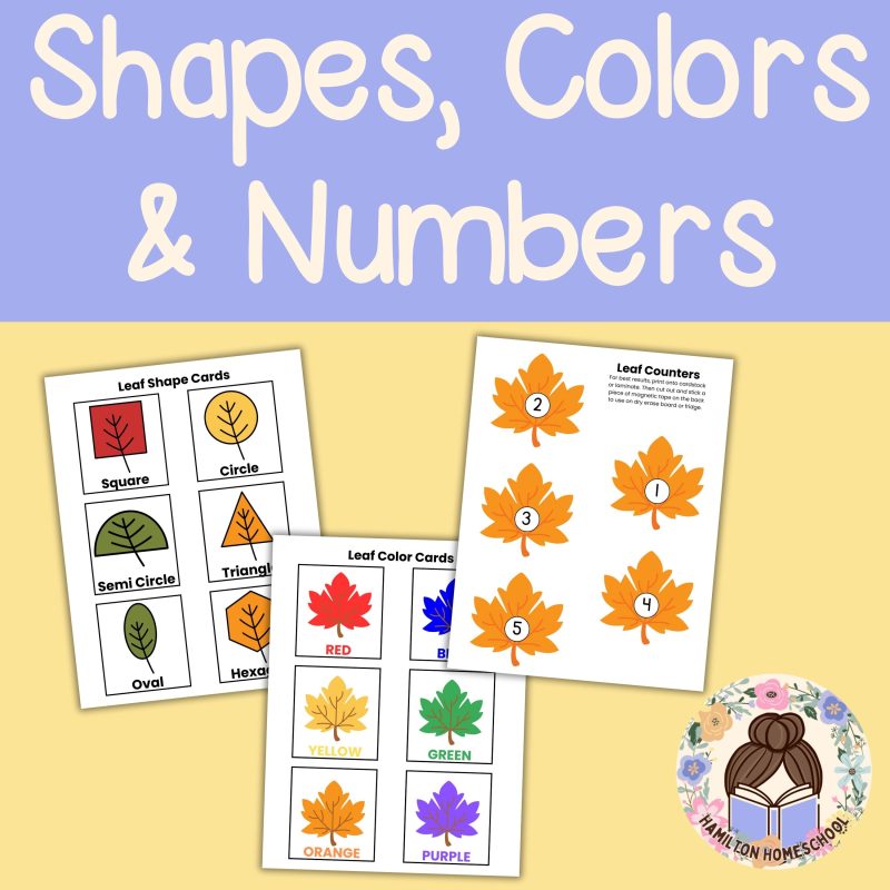 L is for Leaf Preschool Worksheet Bundle L Week Lesson Plan Autumn Leaves - Image 2