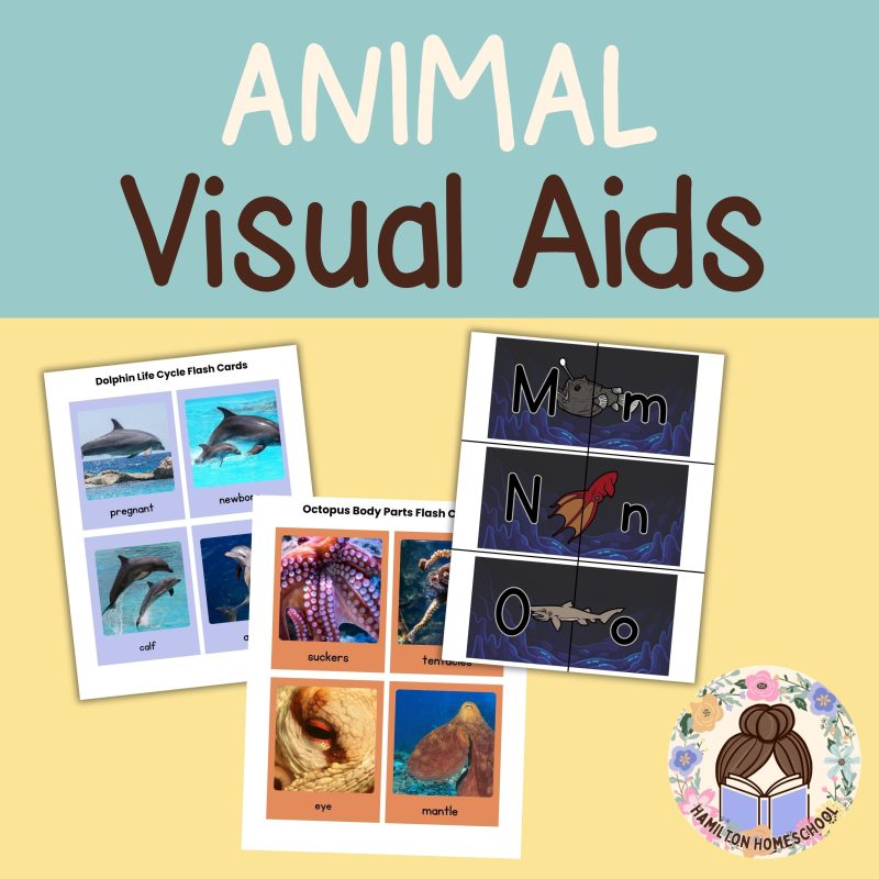 Ocean Animal Nature Study Bundle, Dolphin, Octopus and Deep Sea Animals - Image 2