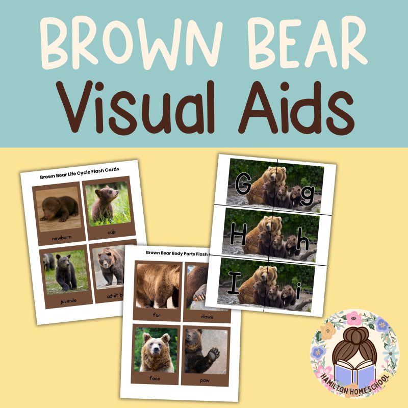 Brown Bear Nature Study Family Unit Worksheets and Note Pages - Image 2