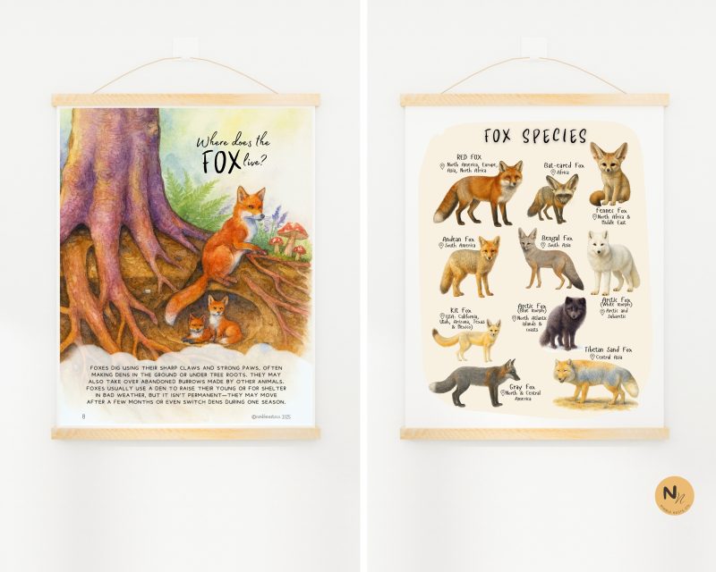 Foxes Unit Study: Fox Anatomy, Red Fox Life cycle, Fox species, Fox Homeschool printable, Fall Unit - Image 4