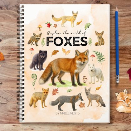 Foxes Unit Study: Fox Anatomy, Red Fox Life cycle, Fox species, Fox Homeschool printable, Fall Unit