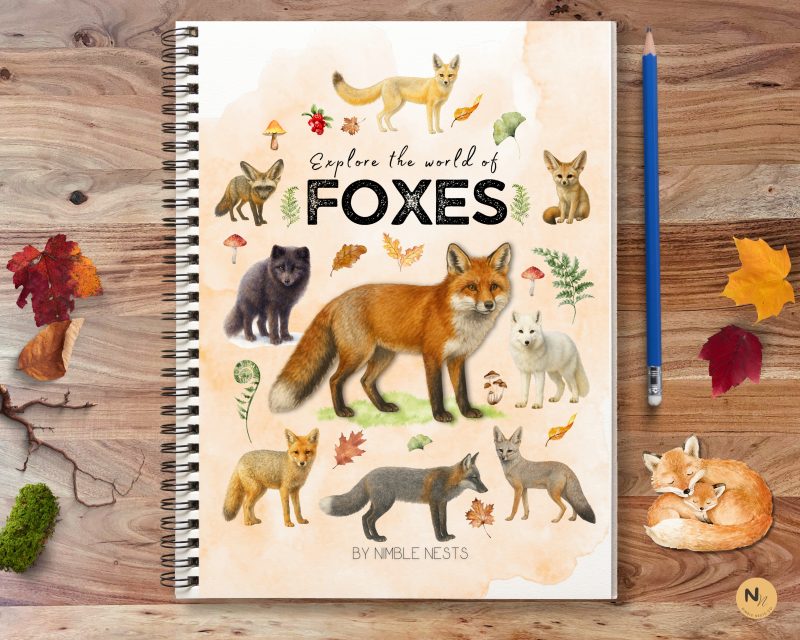 Foxes Unit Study: Fox Anatomy, Red Fox Life cycle, Fox species, Fox Homeschool printable, Fall Unit