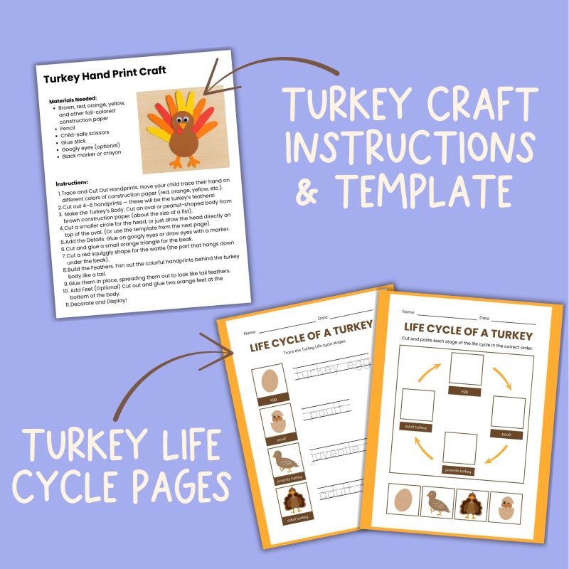 T is for Turkey Preschool Worksheet Bundle Kindergarten PreK Turkey Lesson Plan - Image 3