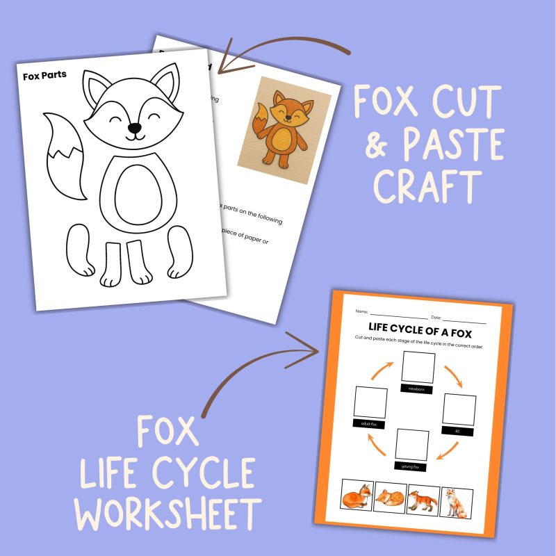 F is Fox Preschool Lesson Plan Worksheets and Activities - Image 3