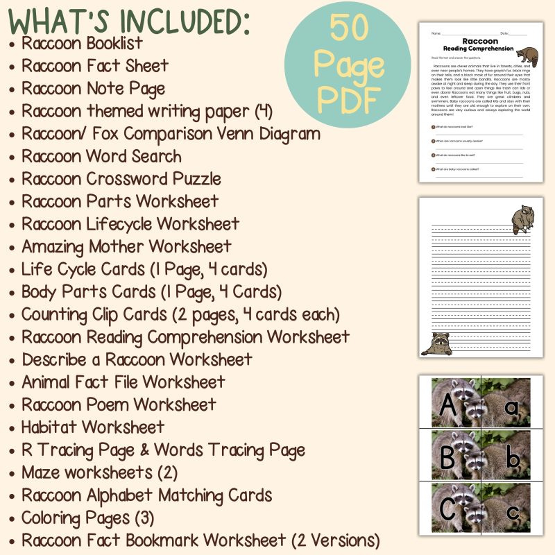Raccoon Nature Study Family Unit Forest Worksheets and Activities - Image 4