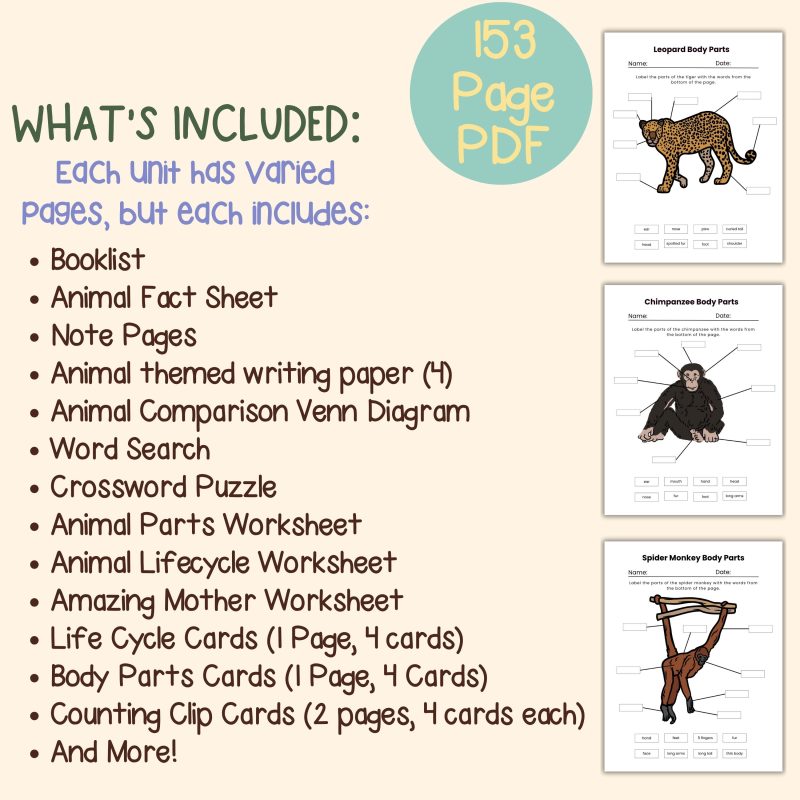 Jungle Animal Nature Study Bundle Leopard, Chimpanzee and Spider Monkey - Image 4