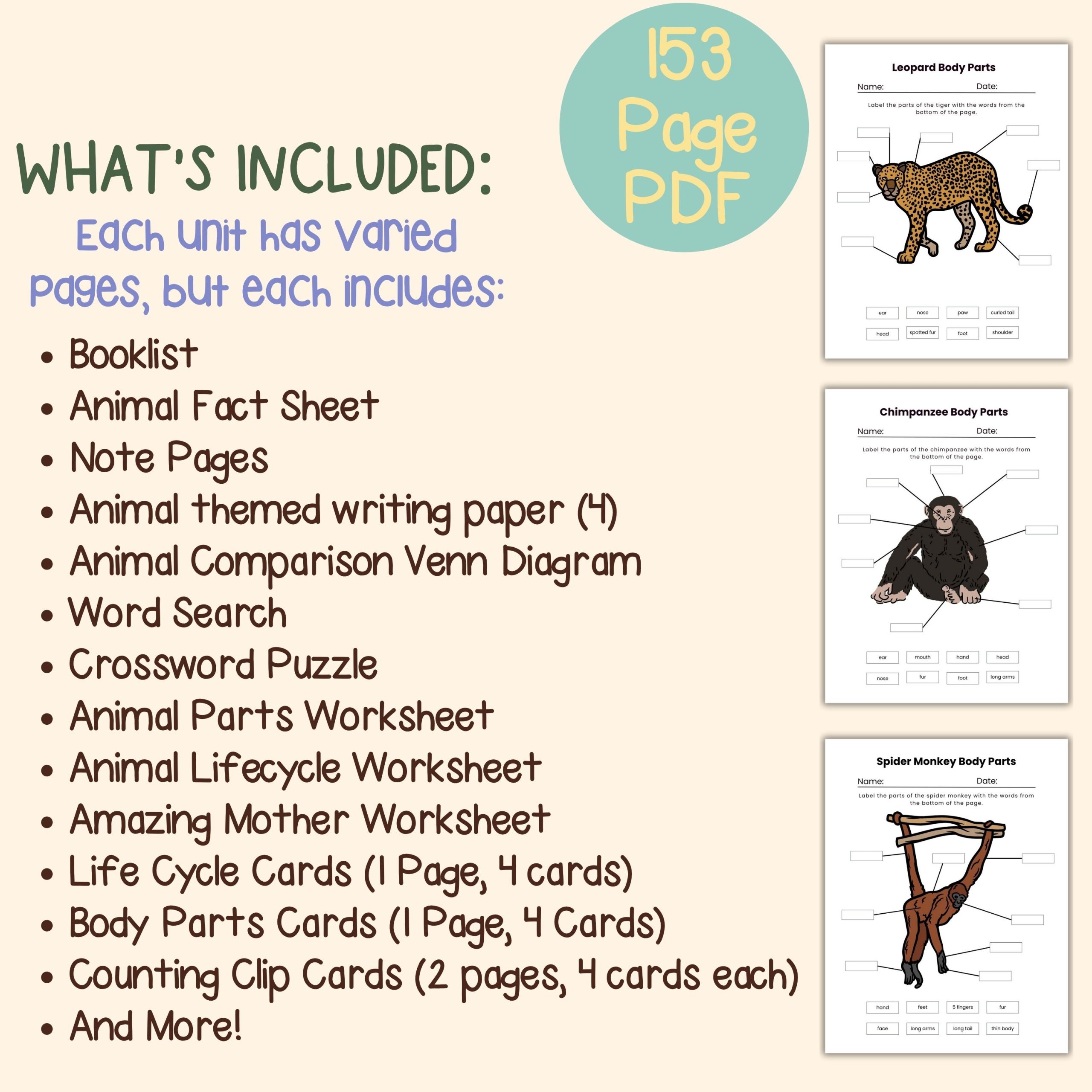 Jungle Animal Nature Study Bundle Leopard, Chimpanzee and Spider Monkey - Image 4